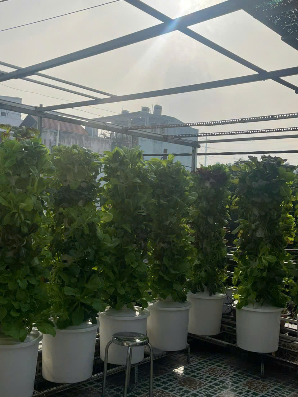 Lidoko - Dịch vụ pháp lý, kế toán và bất động sản