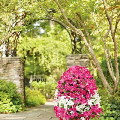 Kiểu vườn đứng phù hợp với không gian nhà nhỏ